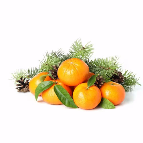 Ялиця з цитрусом