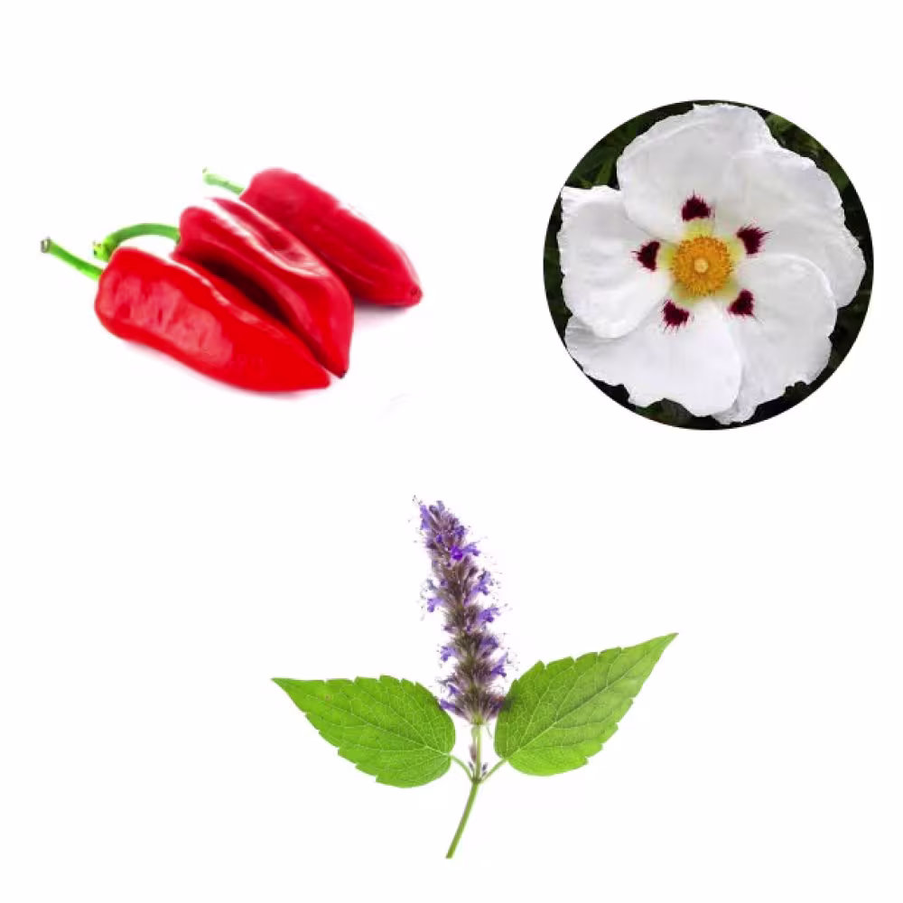 Пачулі, Перець, Біла амбра