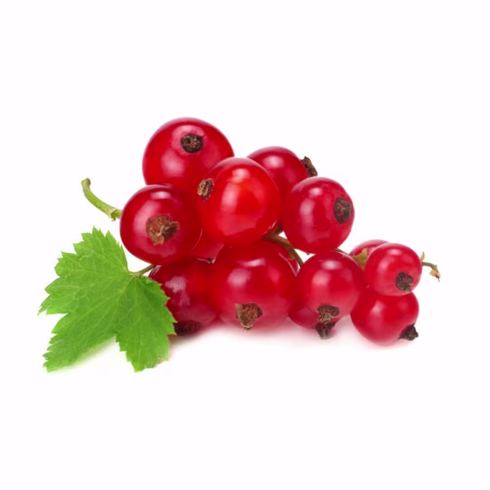 Червона смородина