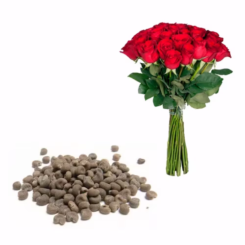 Троянда, Мускус